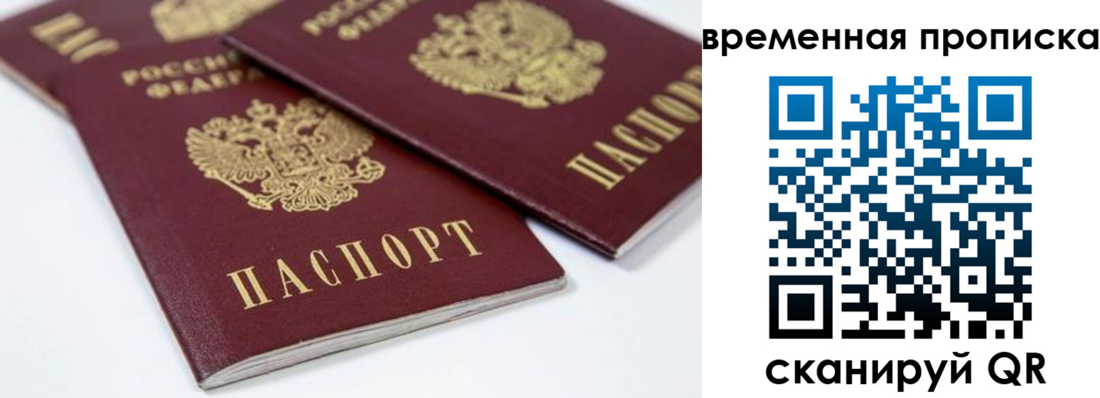 прописка для школы в Керчи